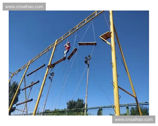 跨越极限挑战自我以训练穿越杆打造全身协调力量与敏捷速度的高效训练新方式 跨越极限挑战自我以训练穿越杆打造全身协调力量与敏捷速度的高效训练新方式