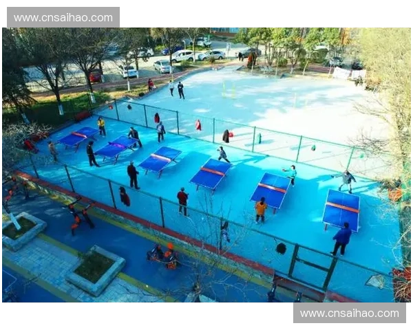 打造多功能运动区促进社区健康发展提升全民健身水平的创新路径 打造多功能运动区促进社区健康发展提升全民健身水平的创新路径